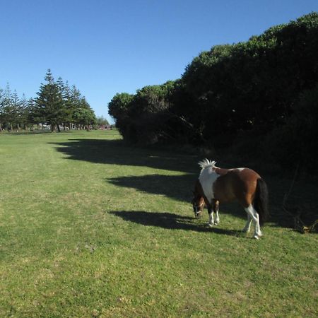 Monday Seaside Cottage Whanganui Exterior foto