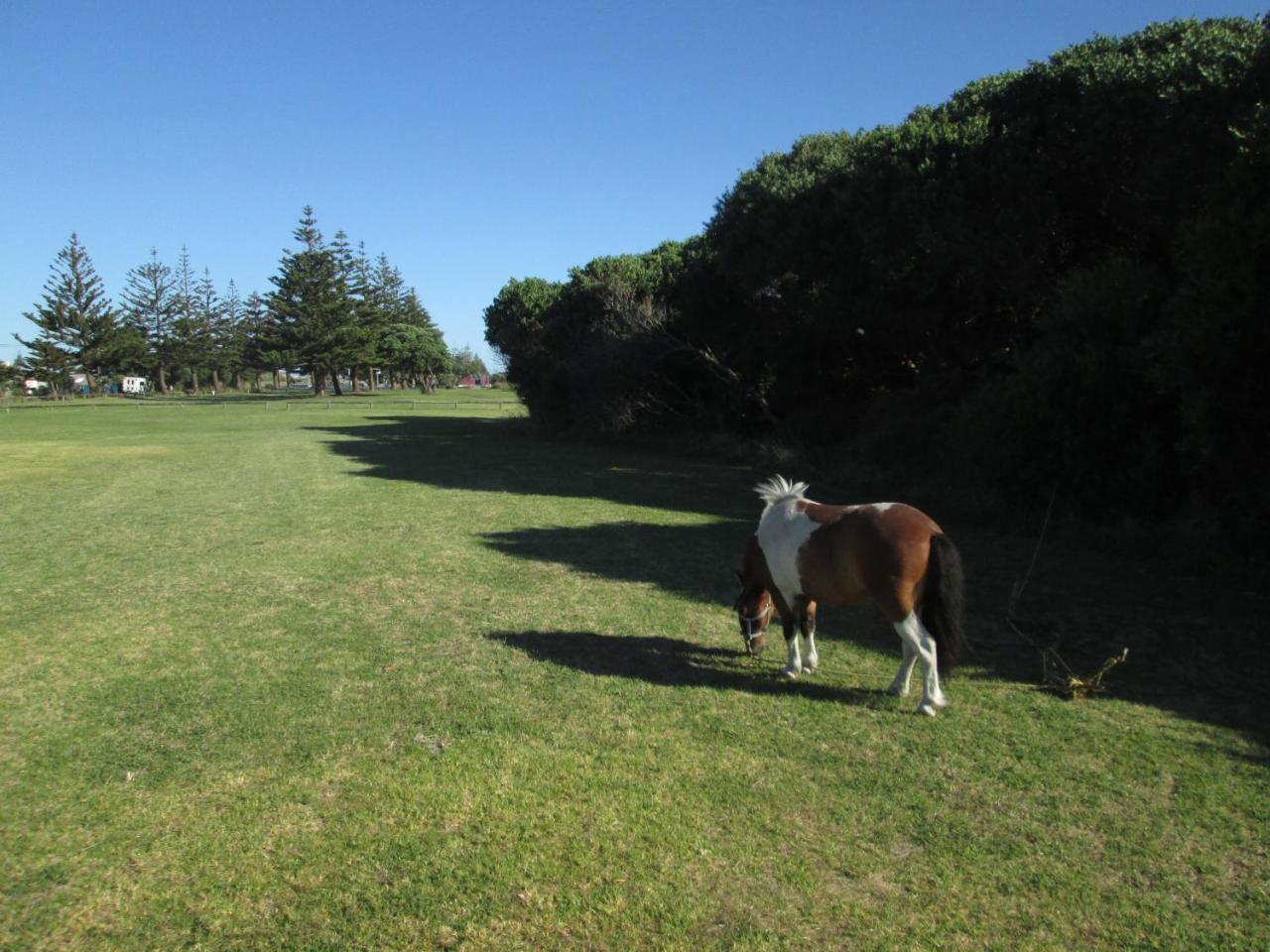 Monday Seaside Cottage Whanganui Exterior foto